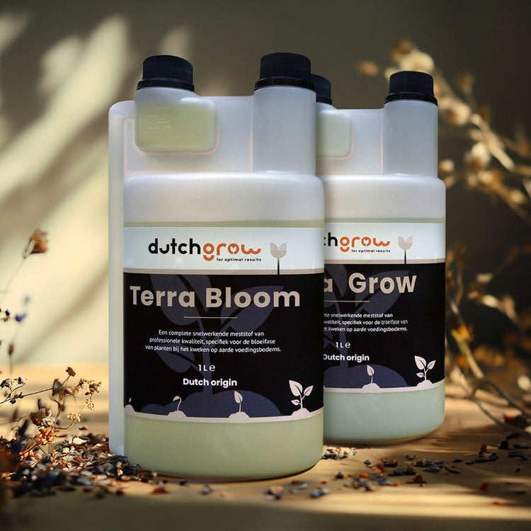 DutchGrow Terra